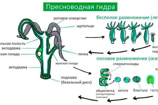 Маркетплейс кракен купить