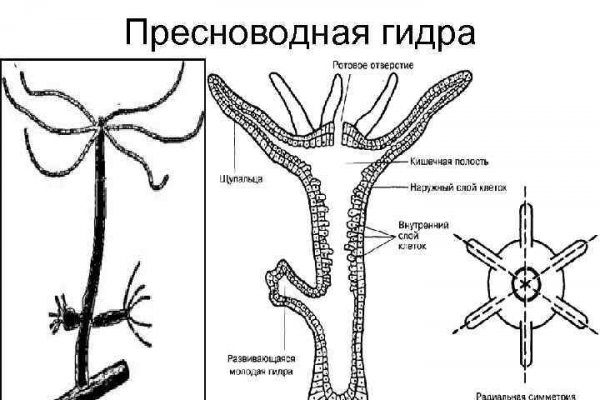 Кракен площадка торговая kr2web in