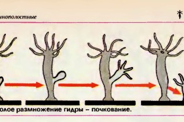 Кракен аккаунт не найден