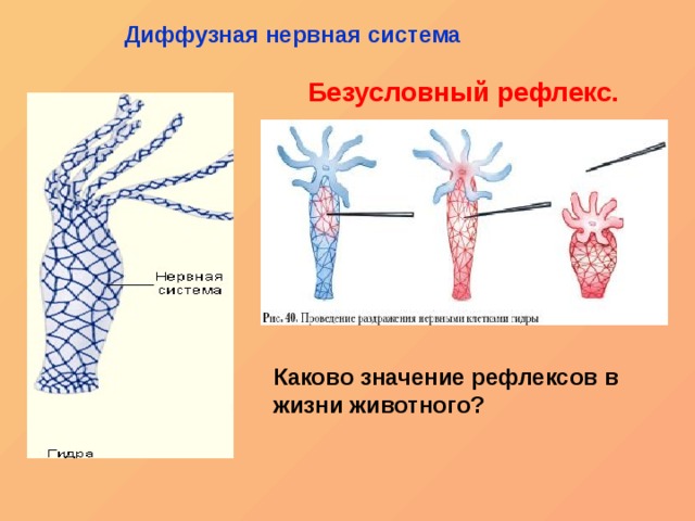 Как зайти на кракен тор