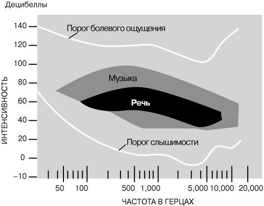 Сайт кракен через тор